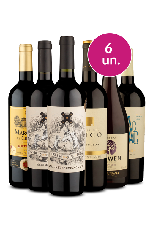 Kit 6 - Tintos Secos e Fantásticos - Exclusivo We