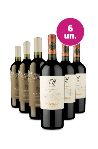 Kit 6 -  Carménères do Valle Del Cachapoal 