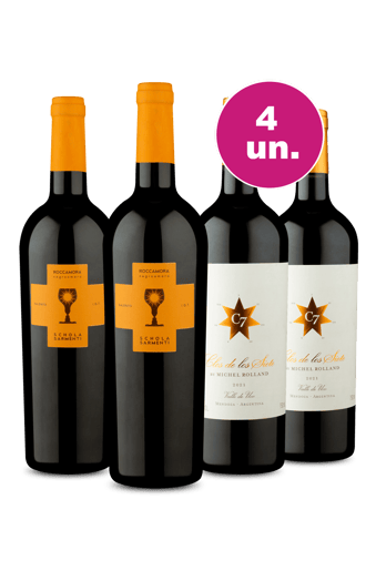 Kit 4 - Encontro de Campeões: Schola Sarmenti Negroamaro e Clos de Los Siete