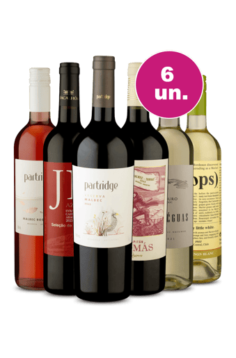 Kit 6 - Melhor Escolha por R$249