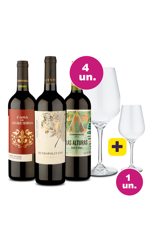 Kit 3 - Tintos por R$99 + Taça Grátis - Oferta Absurda Black Wine