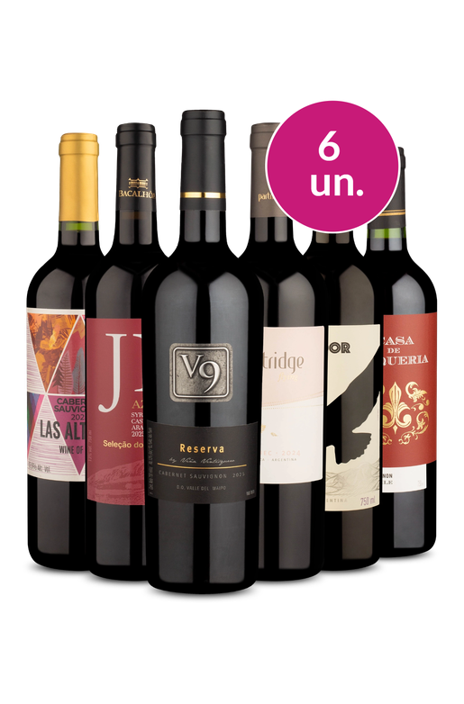 Kit 6 - Destaques na WineBox - Oferta Absurda