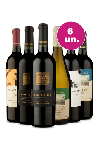 Kit 6 - Aqui só tem Campeão! - Oferta Prime Day