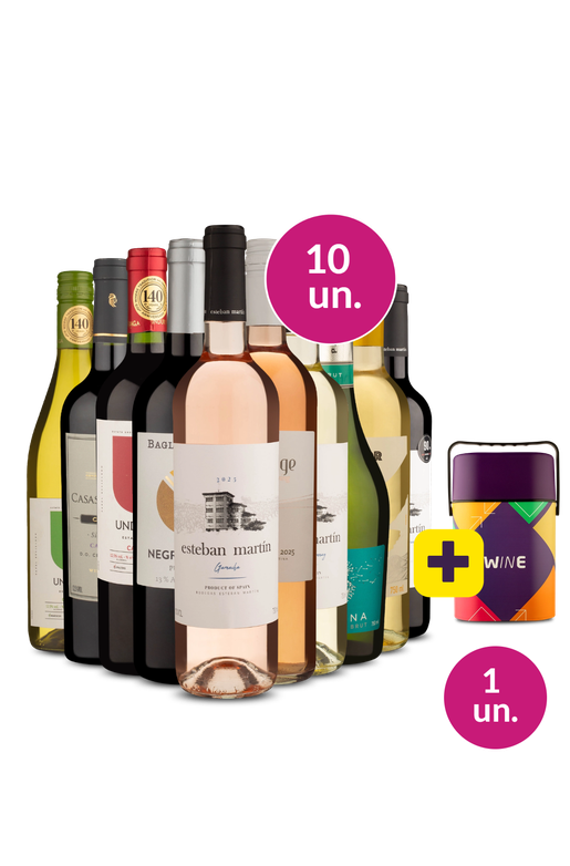Kit 10 - Vinhos Variados + Cooler Retrô Grátis - Exclusivo We