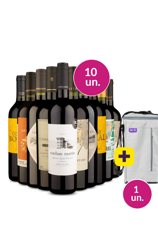 Kit 10 - Tintos Secos + Bolsa p/ 3 garrafas Grátis - Exclusivo We