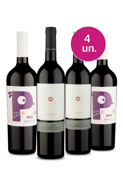 Kit 4 - Malbec Argentino - Oferta Absurda