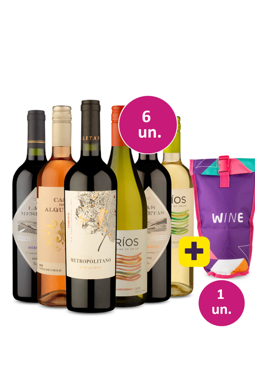 Kit 6 - Vinhos com os amigos + Bolsa térmica 1 garrafa Grátis - Exclusivo We