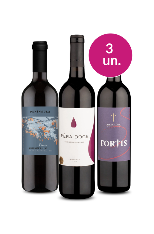 Kit 3 - Sabores Surpreendentes por R$99 - Oferta Absurda