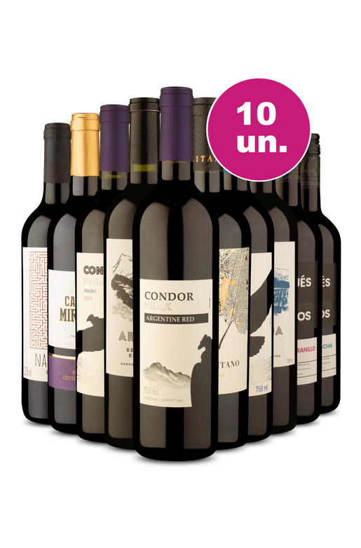 Kit 10 - Cyber Week - Tintos Secos por R$25,90 por Garrafa