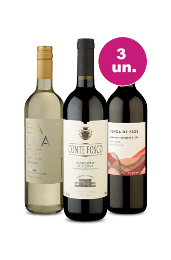 Kit 3 - Vinhos para curtir Setembro por R$99