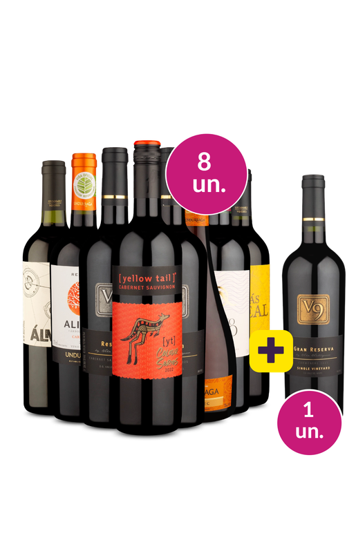 Kit 8 - Chilenos Imperdíveis + V9 Gran Reserva Grátis