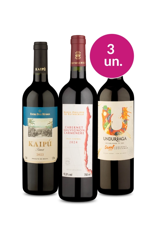 Kit 3 - Tintos da América do Sul por R$99