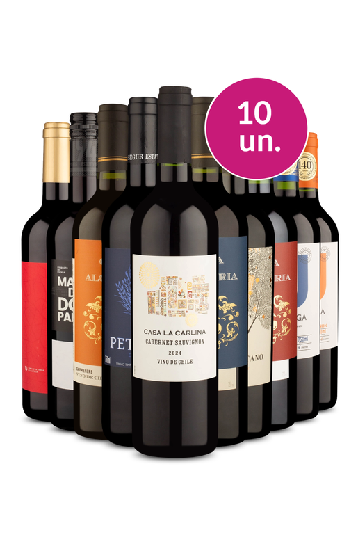Kit 10 - Tintos Secos por R$ 26,90 a garrafa - Exclusivo We