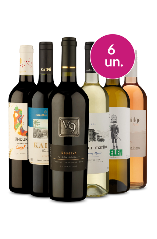 Kit 6 - Campeões Diversos - R$37,90 por Garrafa