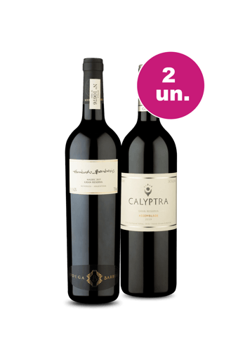 Kit 2 - Humberto Barberis e Calyptra Assemblage - Oferta Insana IZ