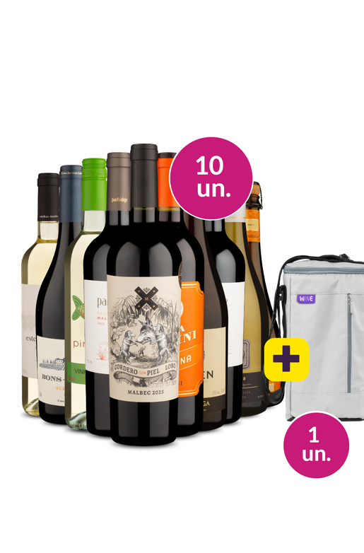 Kit 10 - Queridinhos da We + Bolsa p/ 3 garrafas Grátis - Exclusivo We