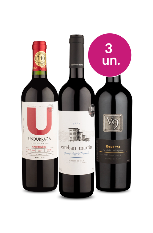 Kit 3 - Tintos por R$ 99 - Exclusivo We