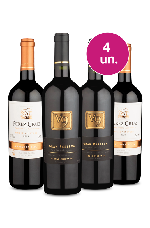 Kit 4 - Pérez Cruz e V9 Gran Reserva - Oferta Absurda