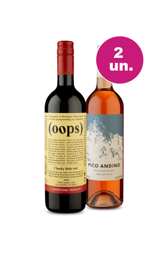 Kit 2 - Chilenos por R$77