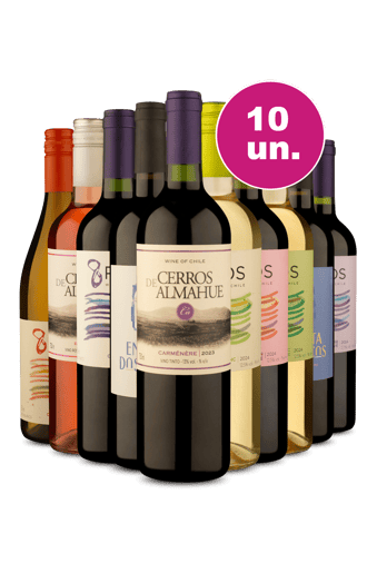 Kit 10 -  Agosto do Sócio Wine por R$24,90 por Garrafa