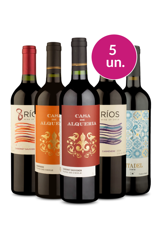 Kit 5 - Tintos por R$100 - Exclusivo