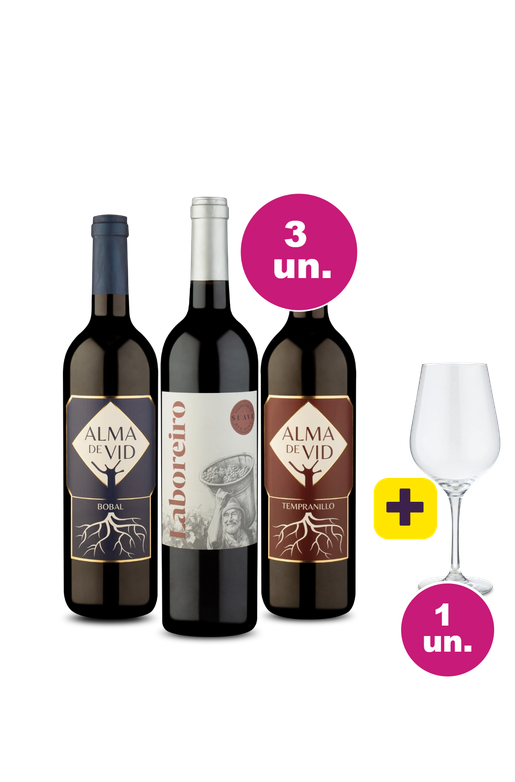 Kit 3 - Tintos Suaves + Taça de Cristal Grátis - Oferta Absurda Black Wine