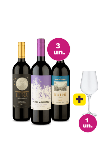 Kit 3 - Tintos Maravilhosos por R$119 + Taça de Cristal Grátis