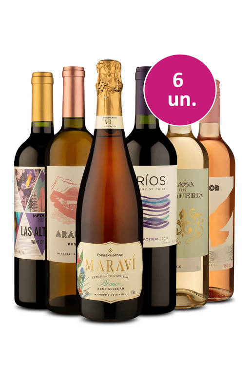 Kit 6 - Variados que agradam o paladar - Exclusivo We