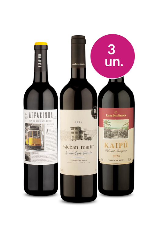 Kit 3 - Tintos Destaques do Mês por R$99 - Oferta Absurda