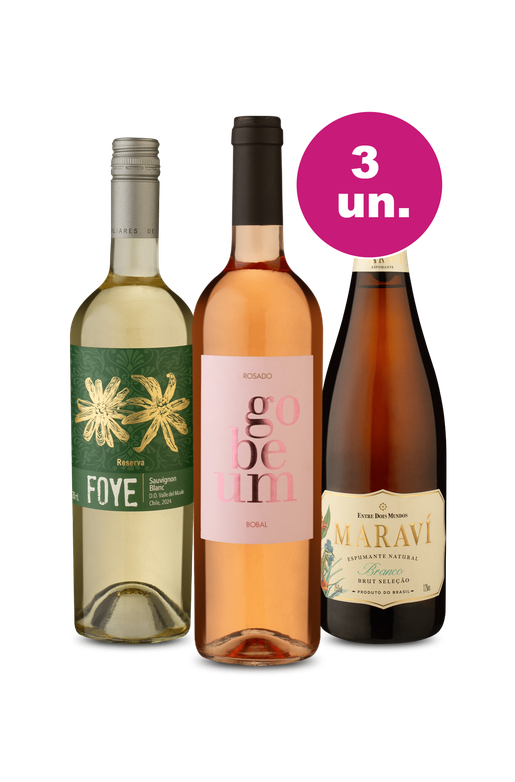 Kit 3 - Memórias do Verão