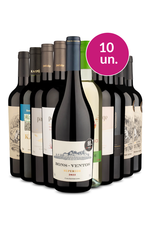 Kit 10 - Seleção Especial de Agosto - Oferta Absurda