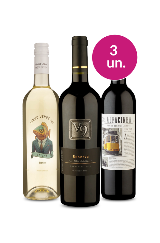 Kit 3 - Grandes Destaques de 2026 por R$99 - Oferta Absurda