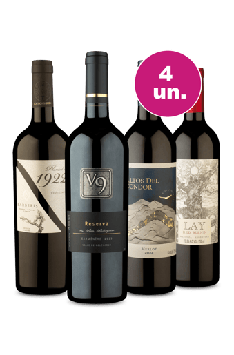 Kit 4 - Uvas Tintas por R$27,90 por Garrafa