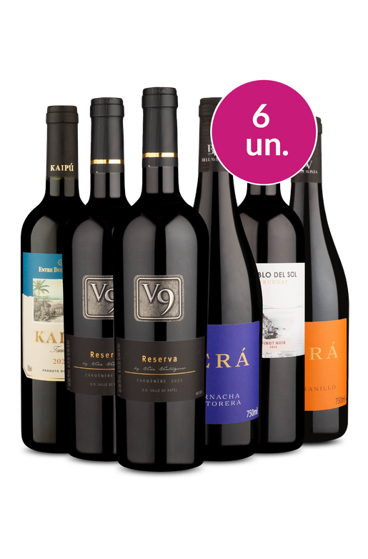 Kit 6 - Tintos no Precinho - Spoiler Black Wine