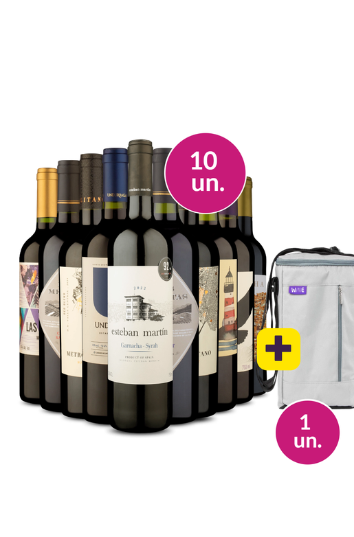 Kit 10 - Tintos Variados + Bolsa p/ 3 garrafas Grátis - Exclusivo We