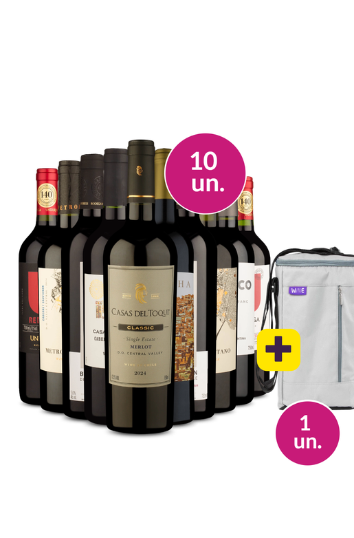 Kit 10 - Tintos + Bolsa p/ 3 garrafas Grátis - Exclusivo We
