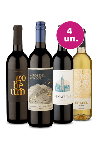 Kit 4 - Vinhos Incríveis por R$27,90 Por Garrafa