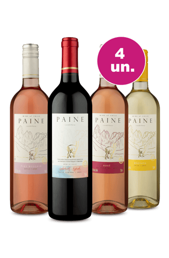 Kit 4 - Paine Mesclados - Oferta Exclusiva Por 27,90 Por Garrafa
