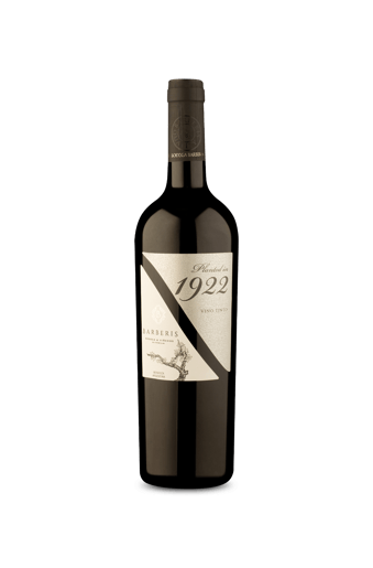 Planted In 1922 Tinto 2024