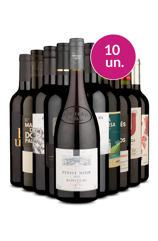 Kit 10 - Melhor Oferta por apenas R$33 por Garrafa - Oferta Absurda