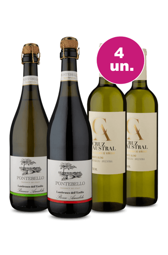 Kit 4 - Frisante Lambrusco e Cruz Austral White Blend
