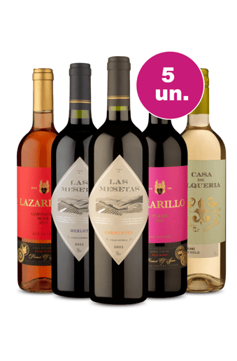 Kit 5 - Grande Oferta por R$100 - Exclusivo