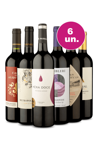 Kit 6 - Tintos Incríveis - Oferta Insana