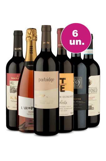 Kit 6 - Incrível Volta ao Mundo por R$249