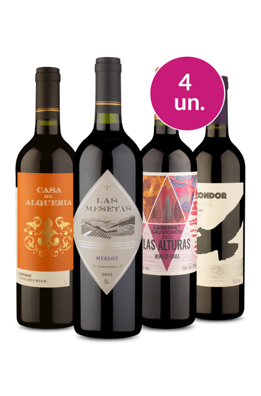 Kit 4 - Tintos por R$99 - Spoiler Black Wine