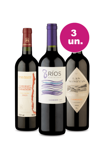 Kit 3 - Vinhos Incríveis por R$99 - Oferta Insana IZ