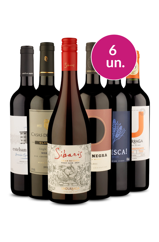 Kit 6 - Tintos Formidáveis - Exclusivo We