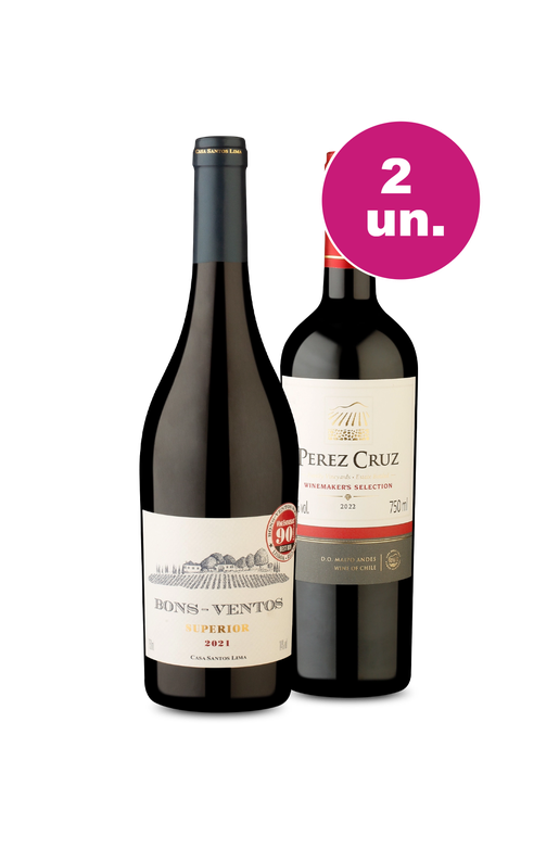 Kit 2 - Bons-Ventos Superior e Pérez Cruz GSM - Oferta Absurda Black Wine
