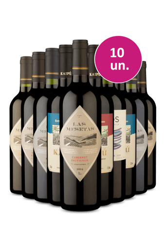 Kit 10 - Vinhos Tintos por R$ 25,90 por garrafa - Exclusivo We