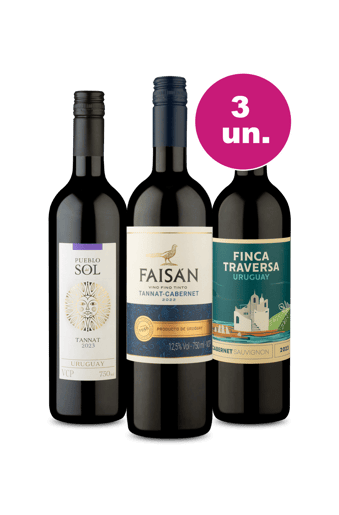 Kit 3 - Descobrindo o Uruguai por R$99